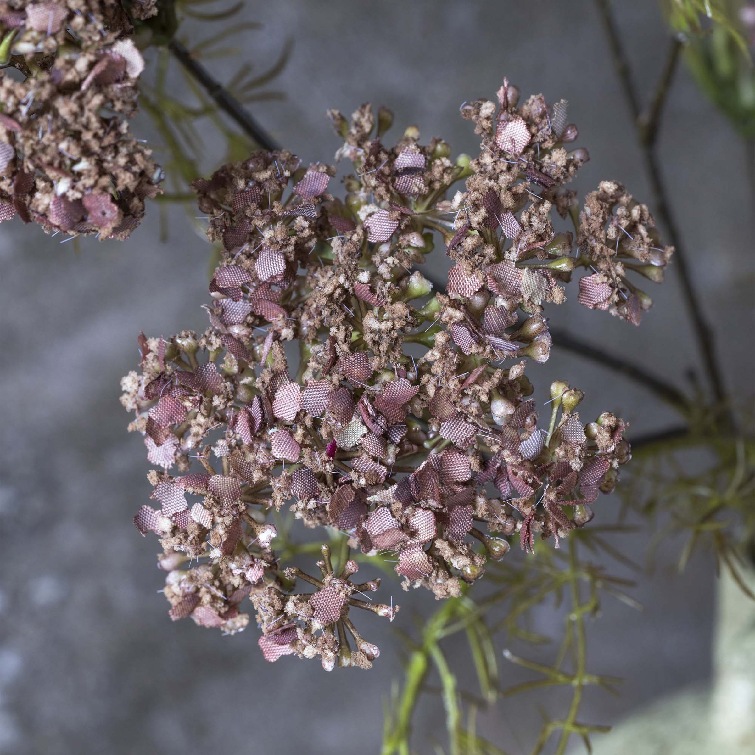 Artificial Dill Flower Stem