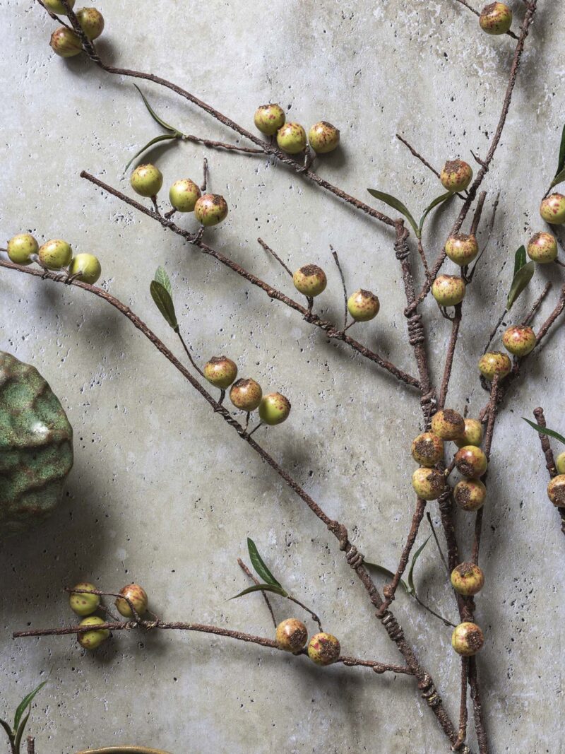 Artificial Rosehip Stem, Dappled