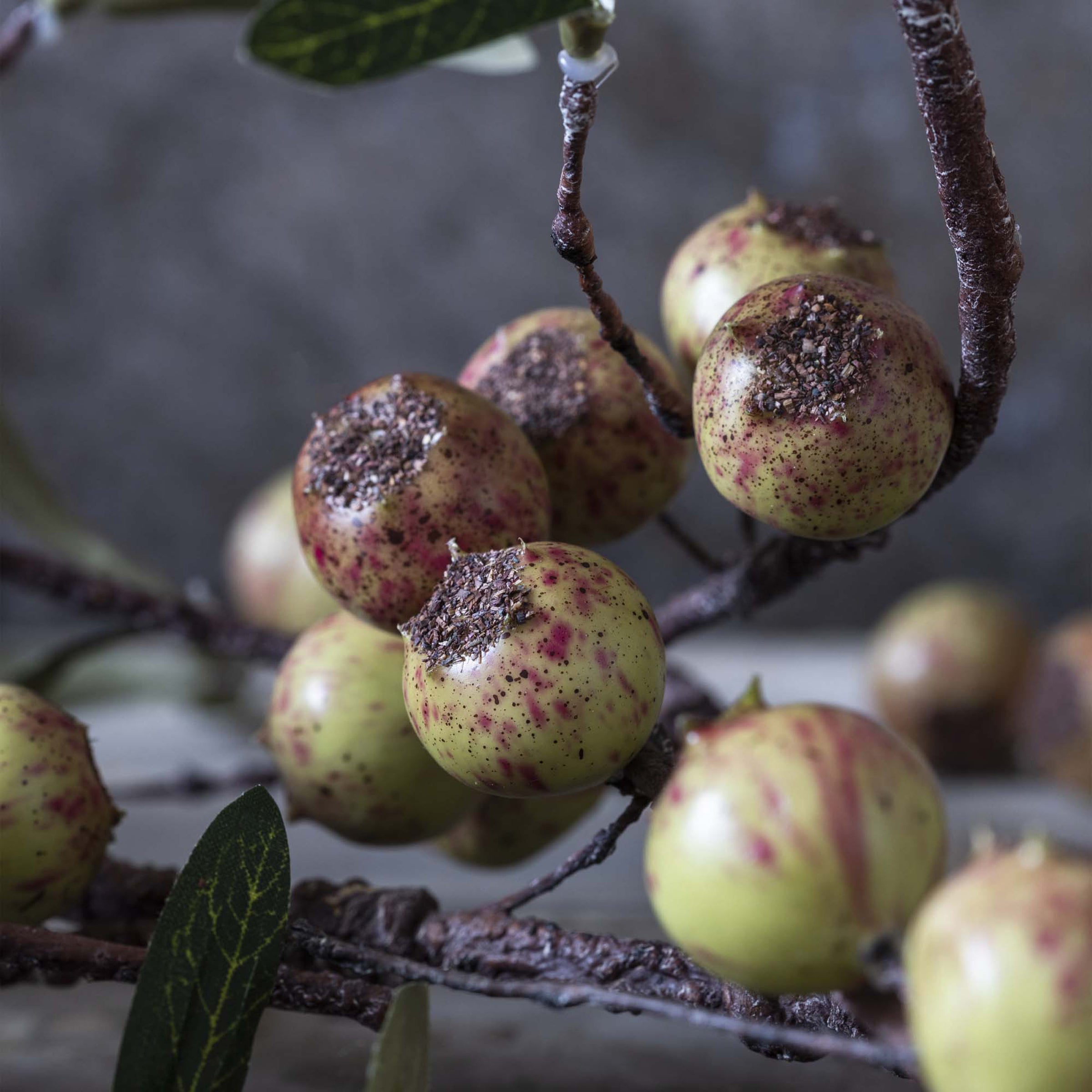 Artificial Rosehip Stem, Dappled